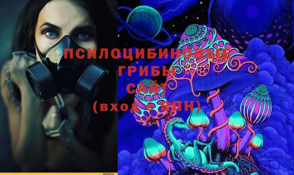 амф Алексин