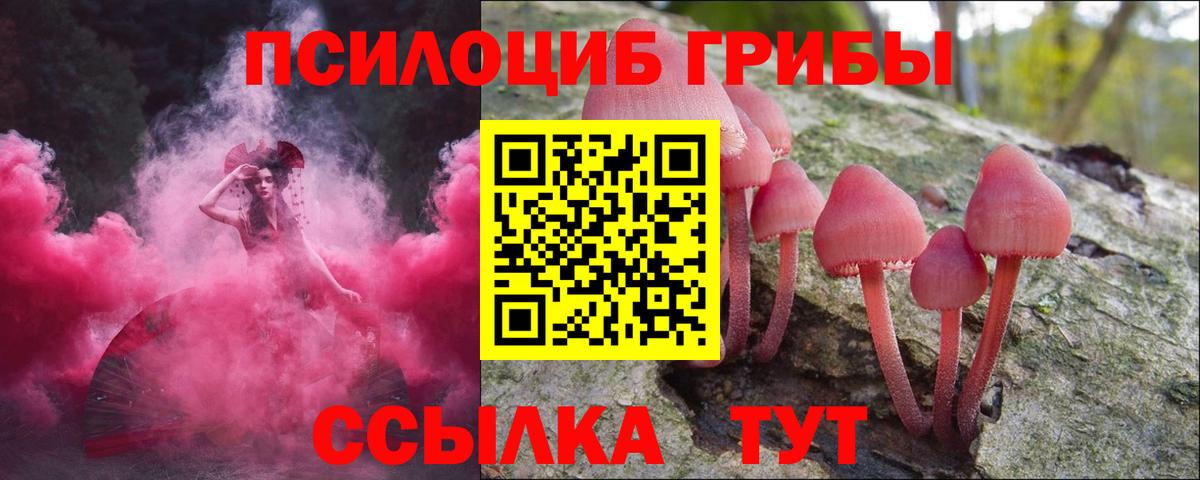 Галлюциногенные грибы прущие грибы  Псилоцибиновые грибы мицелий  Волоколамск  хочу наркоту  Вход с VPN 